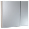 Foremost MMC3026 30" Double Door Mirrored Medicine Cabinet - Aluminum