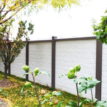 Back Fence