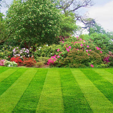 Landscape Construction Projects