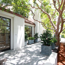 Ojai