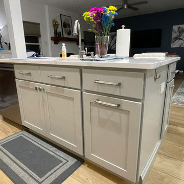 Large Light Grey Renovation