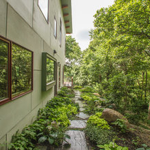 Outdoor Yard