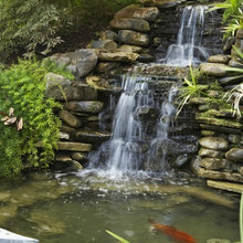 Pond