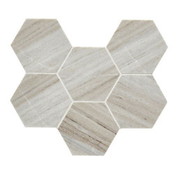 CS-Skyline Honed Hex 4 Inch - Tile