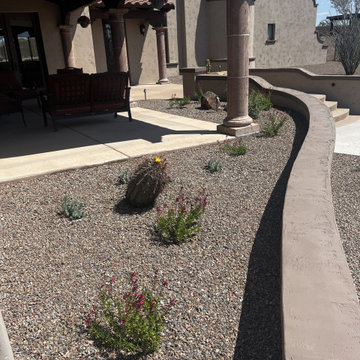 Cactus-Focused Design in Peoria