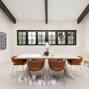 Dining Room - Contemporary