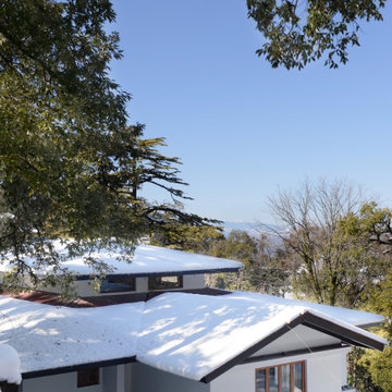 Holmwood Transfiguration