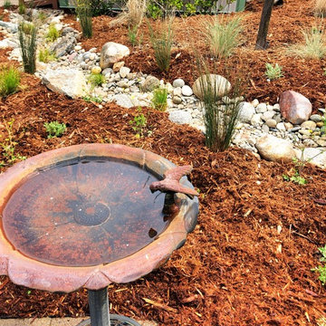 Clay Street Native Garden