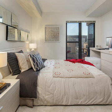 Contemporary Bedroom