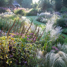 Garden Beauty