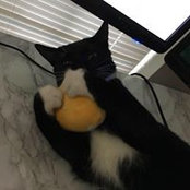 Cuong Do's photo