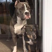 Darren Bennett's photo
