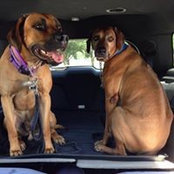 Tammy Utley's photo