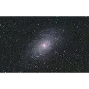 Mark Starnes's photo
