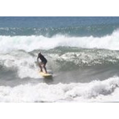 Justin Barlow's photo