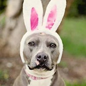Nicole Warwick's photo