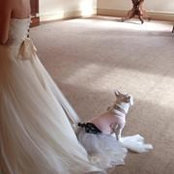 Christina Wang's photo