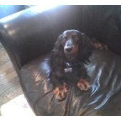 Marlon Wright's photo