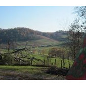 Sharron Callis's photo