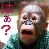 Yoshihiro Uemura's photo
