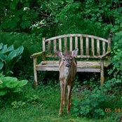 Karen Gunderson's photo