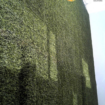 Ranka Lasting Greenery