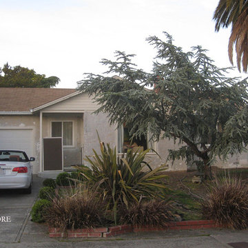 Contemporary Landscape - Dramatic Transformation - San Rafael, CA