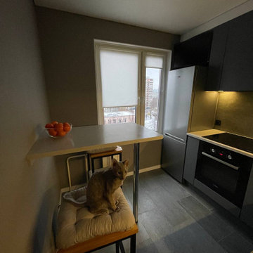 Реализация кухни по дизайн-проекту в однокомнатной квартире, 2022