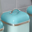 Stainless Steel Canisters, Peacock, Set of 3