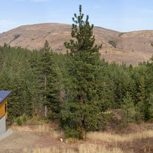 modern cabin