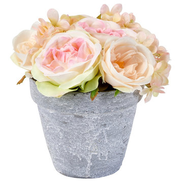 6" Roses In 6" Ceramic Pot