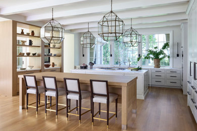 Inspiration for a transitional kitchen remodel in Chicago