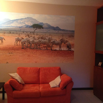Zebre