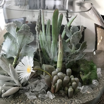Terrariums