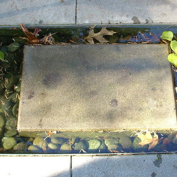 Modern Garden