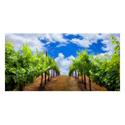 Douglas Page Photographic Arts - Vineyard Sky, Giclee On Canvas, 20"x10" - Prints And Posters
