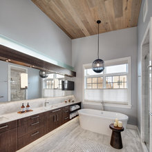 Bathroom Window Cover