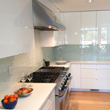 Modern IKEA Kitchen in Colorado Craftsman Home