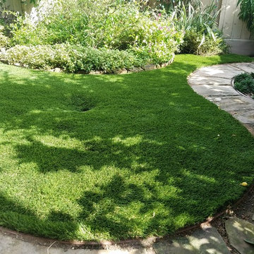 Spring Valley Condo Backyard