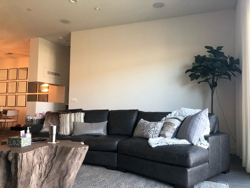 Help With Finishes For My Modern Great Room