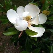 Mary Doyle's photo