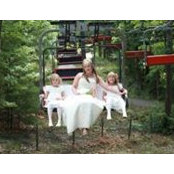 Cindi Brunsting's photo