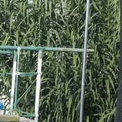 Andy Aさんの写真