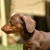 Tracy Hart's photo