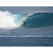 Codee Spitz's photo