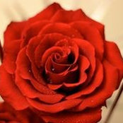 Ingrid Rodriguez's photo