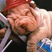 Nikolas Luca's photo