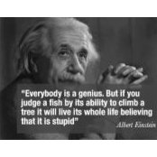 Rick Findlay's photo