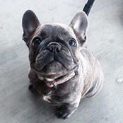 Brittany Crawford's photo
