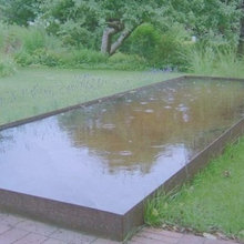 Pond